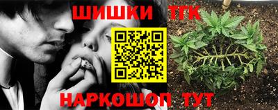 стафф Тверь