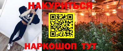 дживик Тара