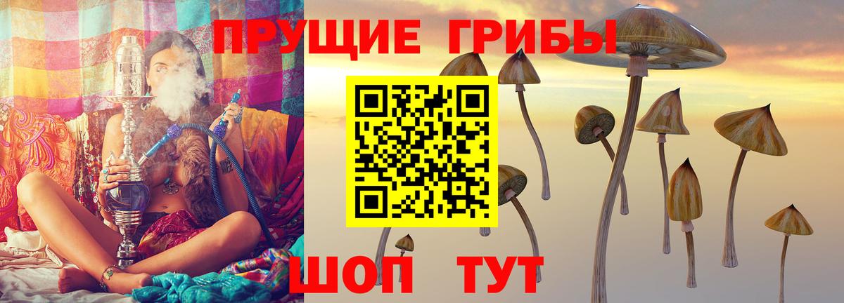 Псилоцибиновые грибы MAGIC MUSHROOMS Ноябрьск